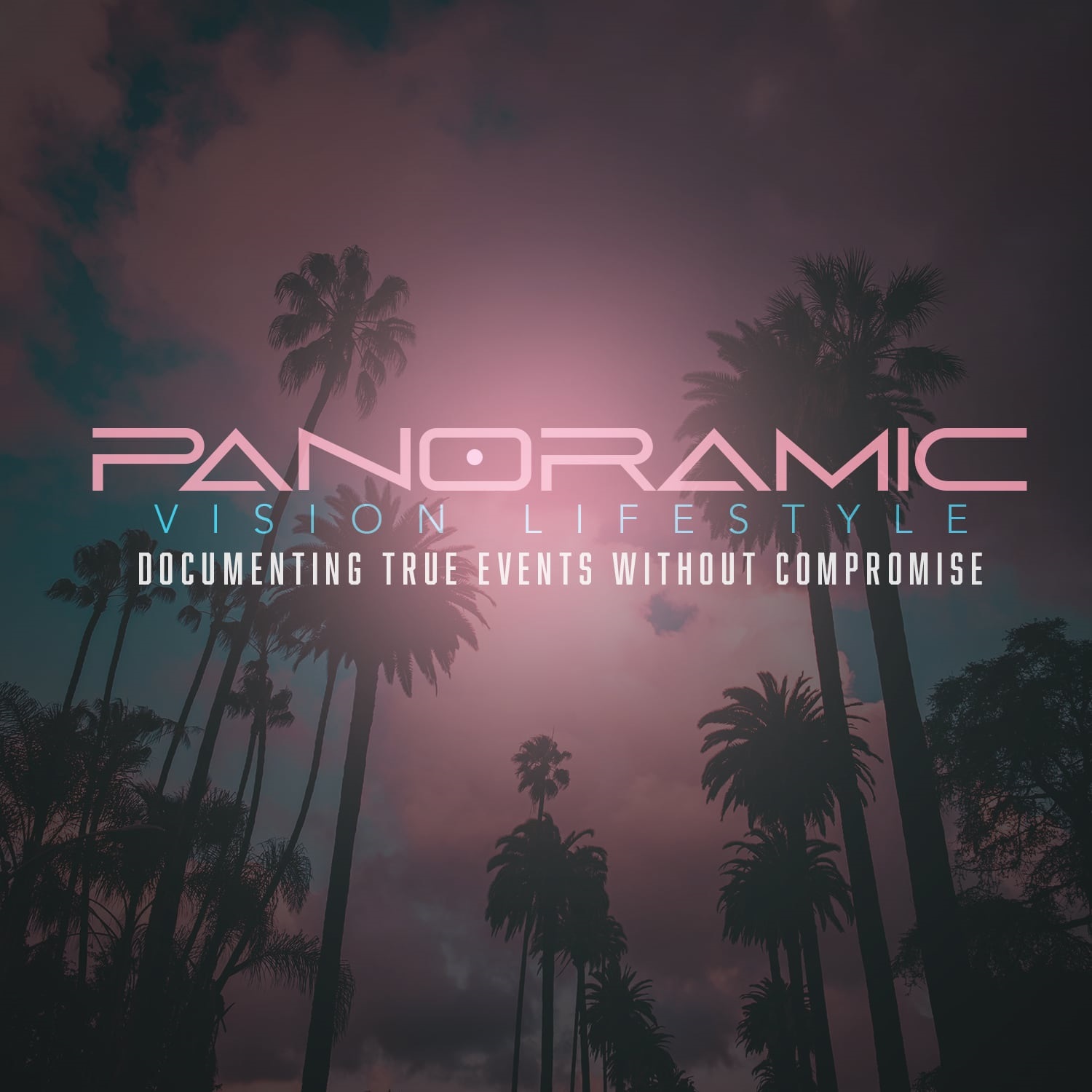 PANORAMIC VISION